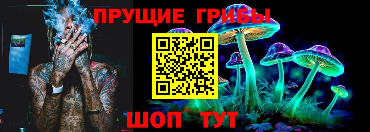 Новотроицк  купить наркотики цена  Вход с VPN  Галлюциногенные грибы мицелий  Галлюциногенные грибы мицелий 